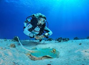 PADI Instructeur Cursus (IDC)