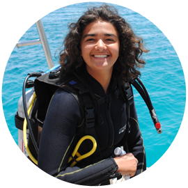PADI Open Water Diver Cursus
